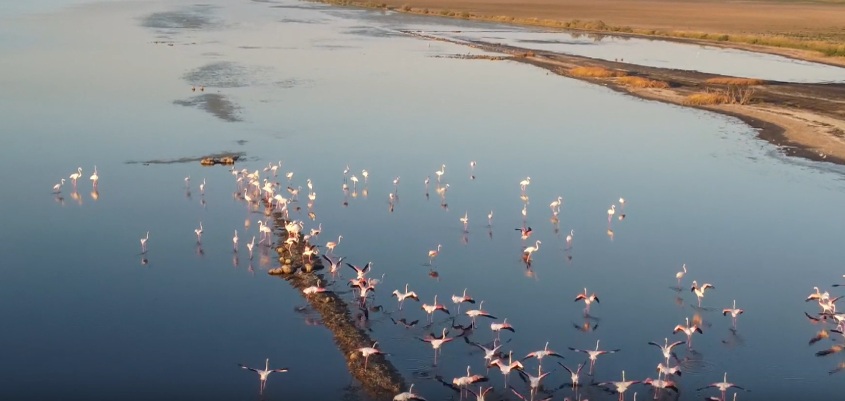 newest-news-post-image